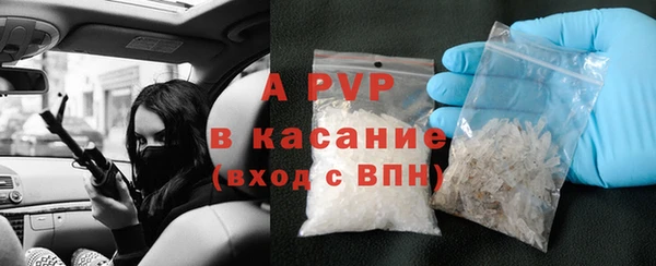 трава Новозыбков