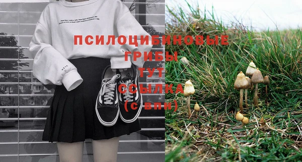 винт Алексеевка