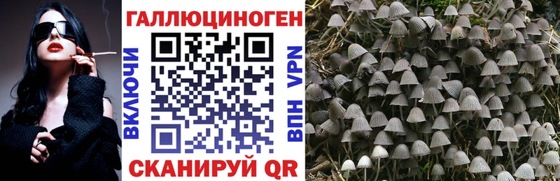 маркетплейс наркотические препараты  Рошаль  Псилоцибиновые грибы мухоморы 
